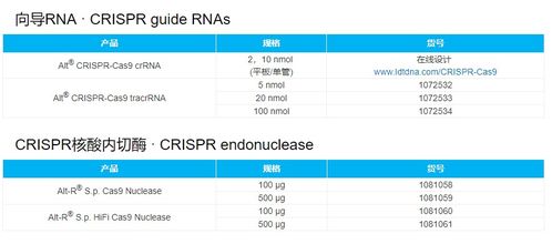 CRISPR基因编辑技术在药物靶点筛选中的应用与服务