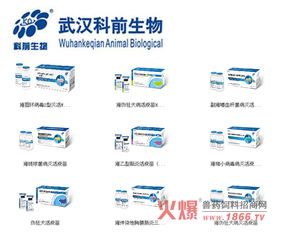 适应新局共创未来——科前动物生物召开营销与技术服务工作交流会报道